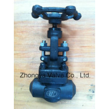 Bw Class600 Dn15 Forged A105 Gate Valve